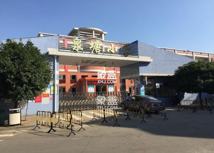 泉塘小学 泉塘小学