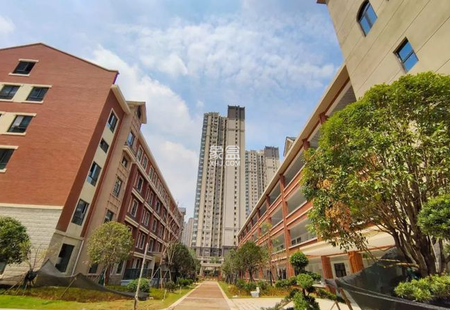 金潇小学 金潇小学