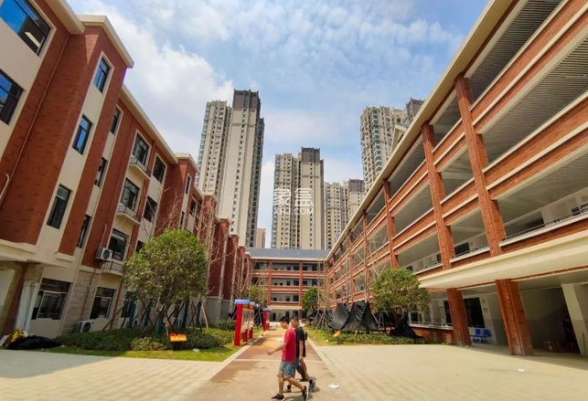 金潇小学 金潇小学