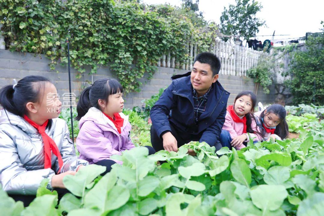 长沙县青山铺镇中心小学：劳动课设在“开心农场”，学生乐采“夏至的蔬果”