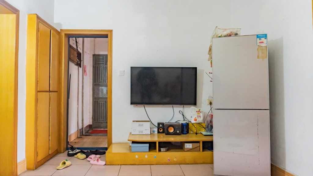 龙洲路散盘 2室2厅1卫 13.8万 龙洲路散盘 2室2厅1卫 13.8万客厅