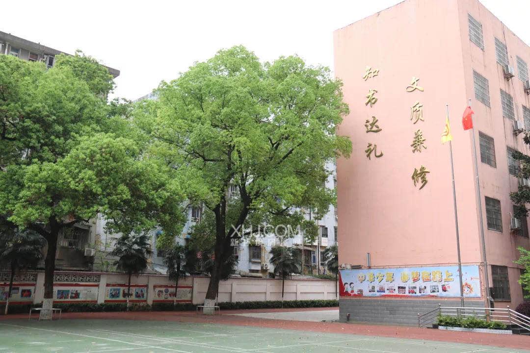 曙光路小学