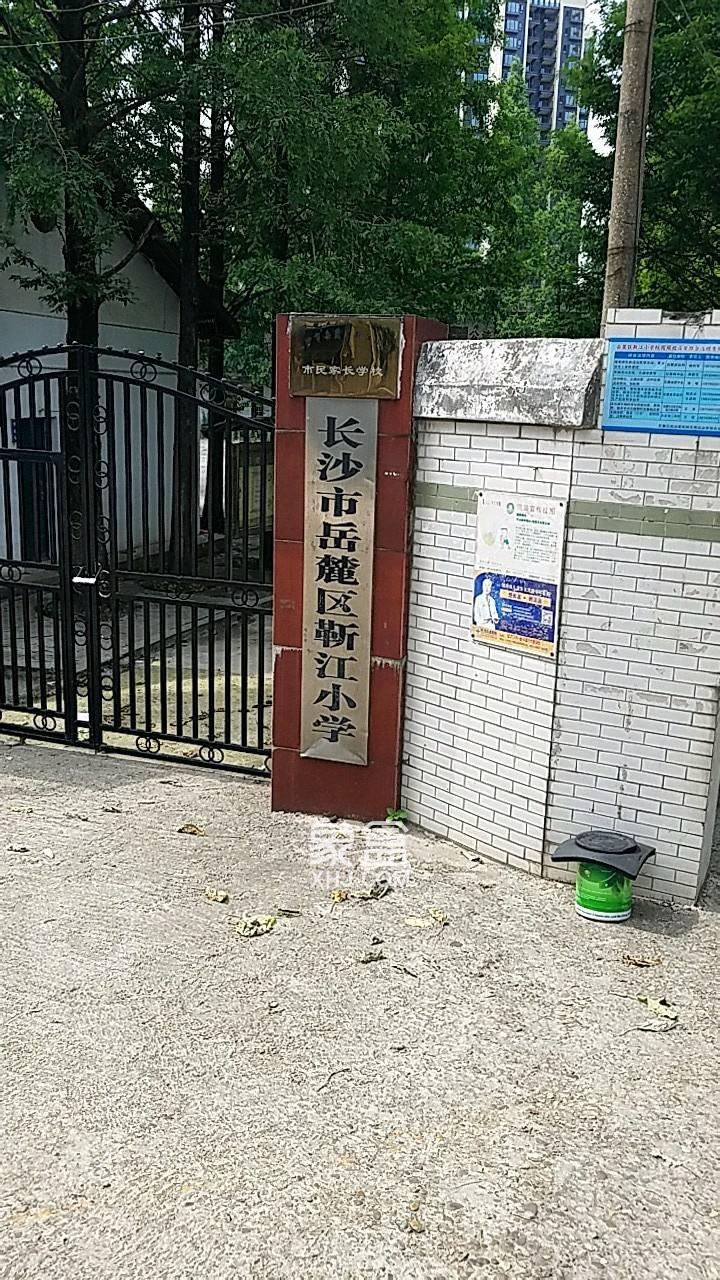 靳江小学