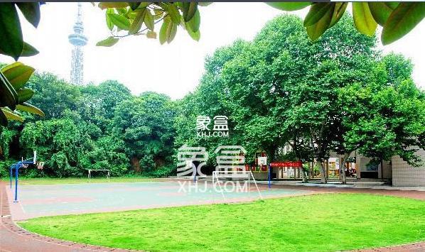 育德小学 育德小学