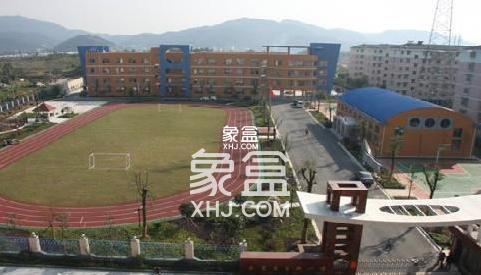 岳麓区望新小学 岳麓区望新小学