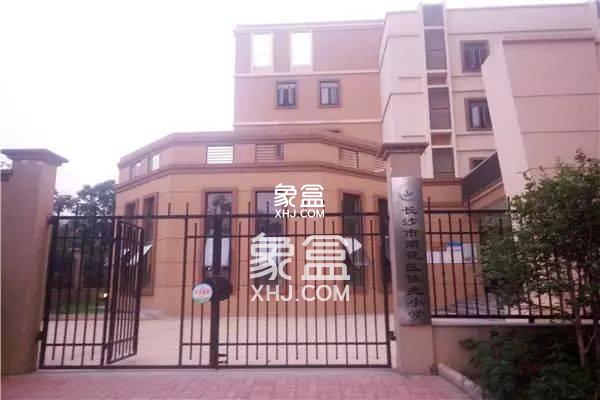 佳兆小学 佳兆小学