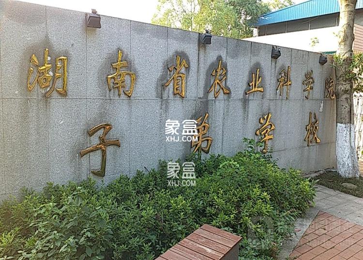 农科院子弟中学(完全中学) 农科院子弟中学(完全中学)