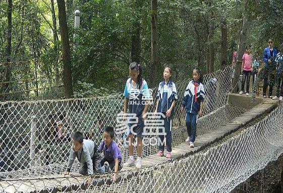 岳麓区望新小学 岳麓区望新小学