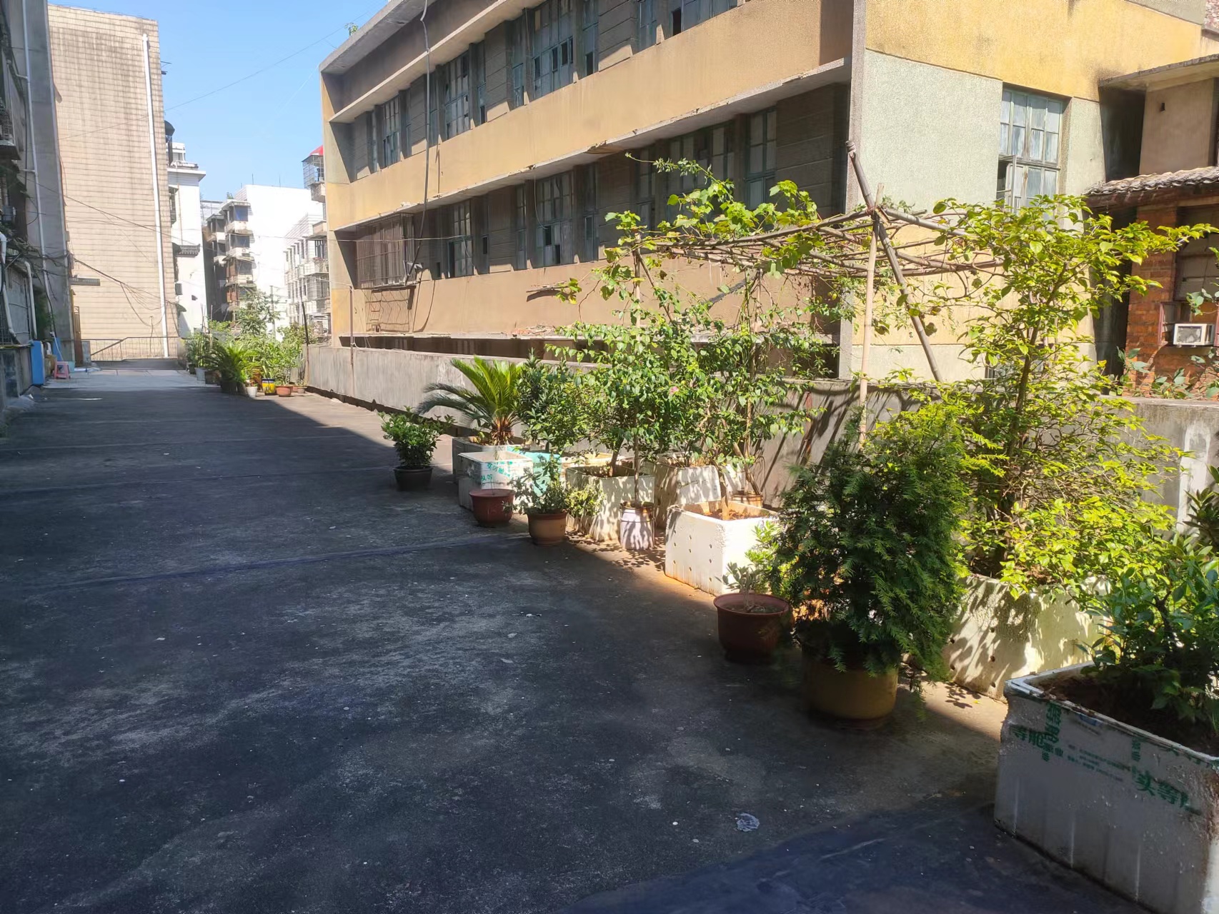 振兴大厦  2室2厅1卫   38.80万室内图1