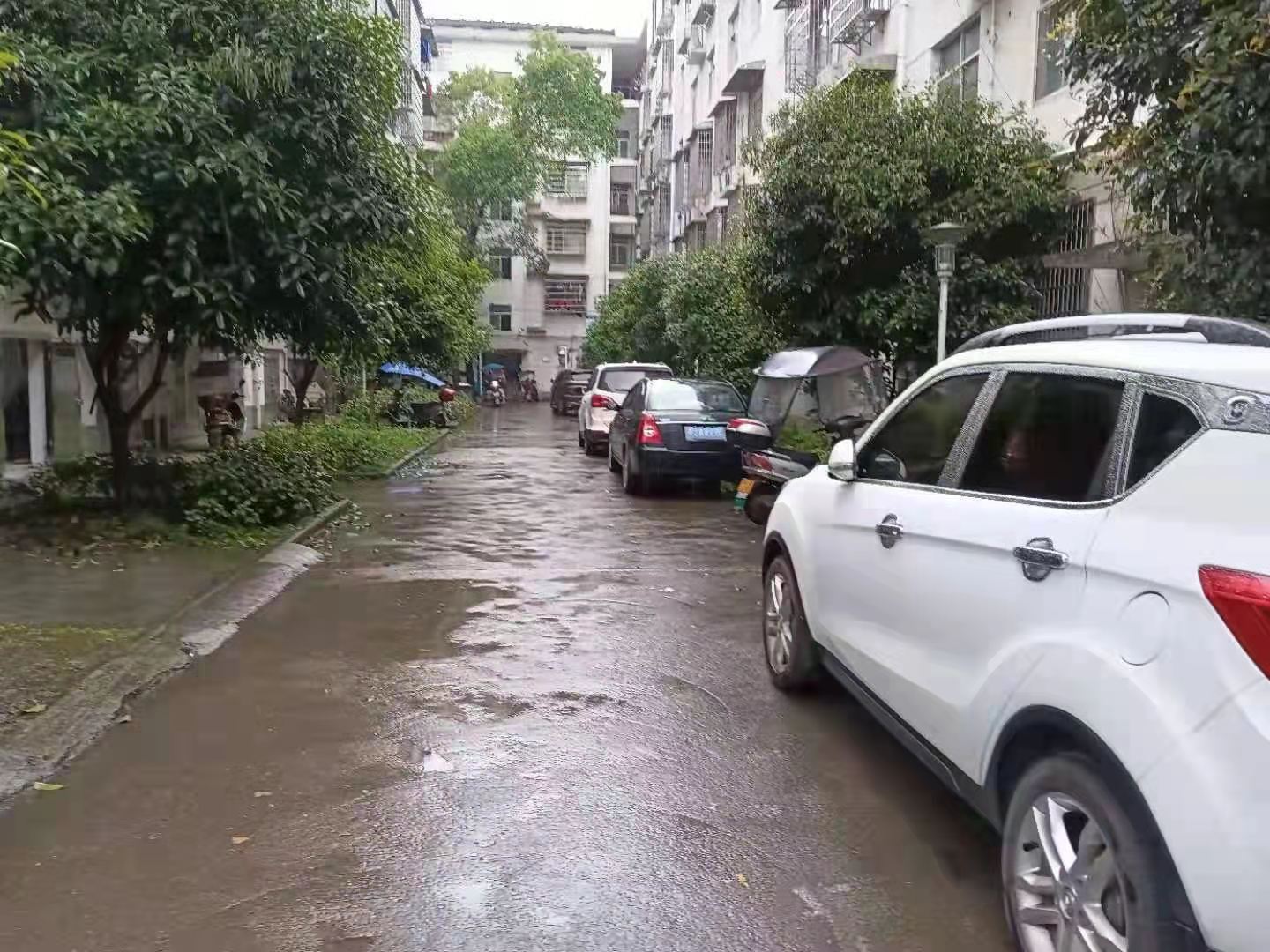 泽苑兴居  2室2厅1卫   49.80万小区图