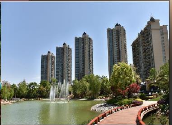 恒大滨河左岸 1室1厅1卫 1800.00元/月 恒大滨河左岸 1室1厅1卫 1800.00元/月小区图