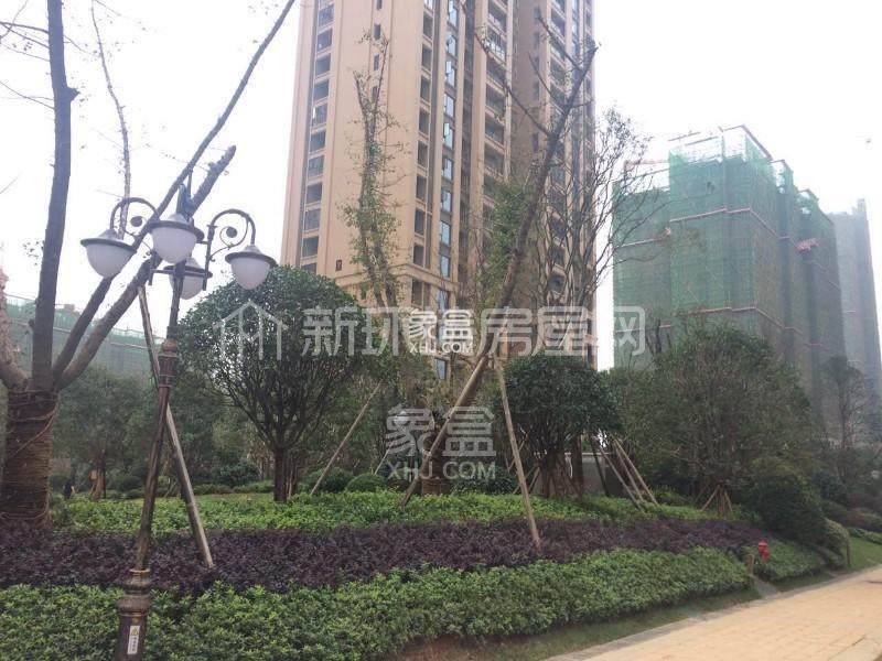 润和滨江府  1室1厅1卫   1500.00元/月小区图