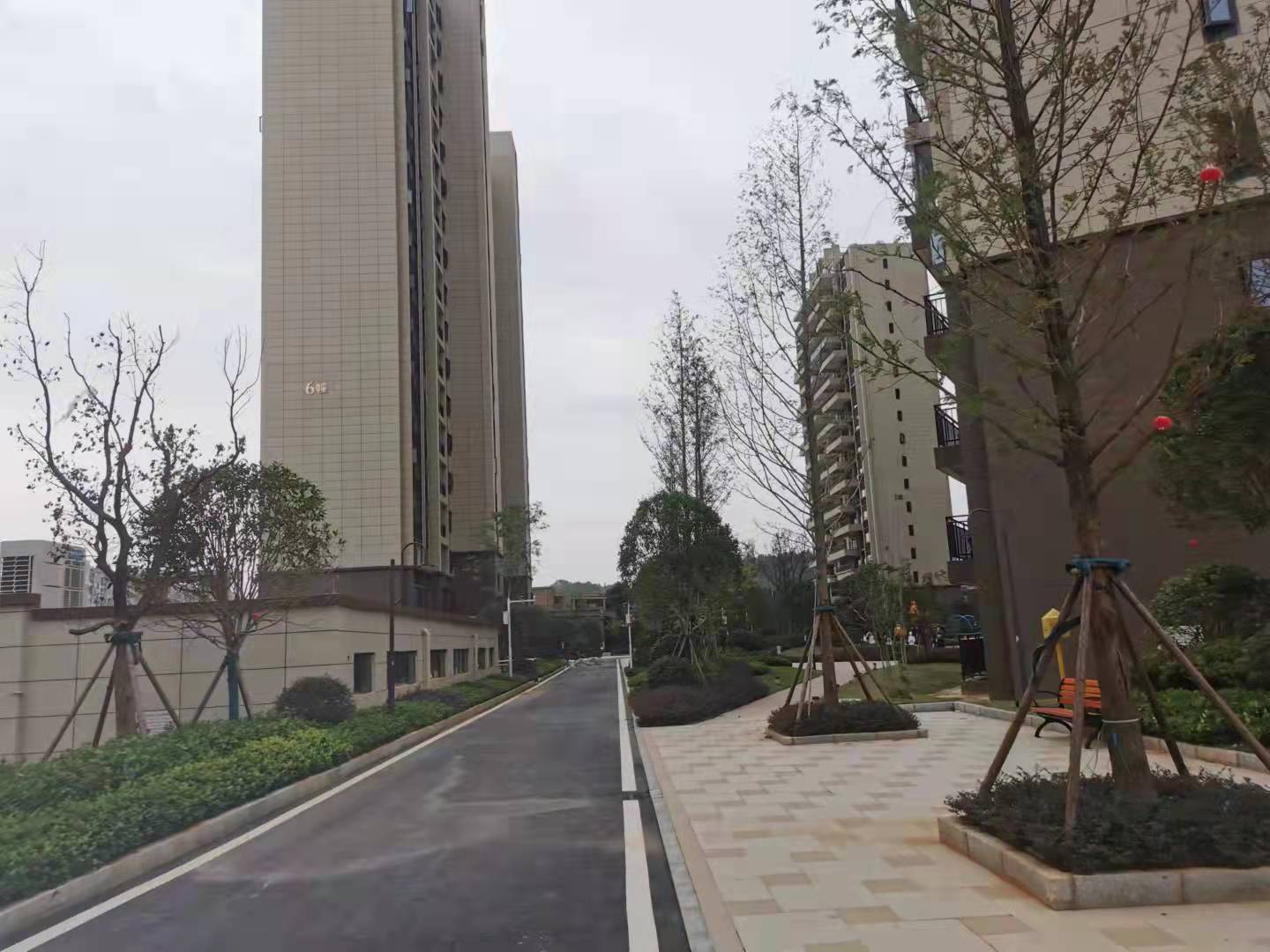 碧桂园娄星府  4室2厅2卫   106.00万小区图