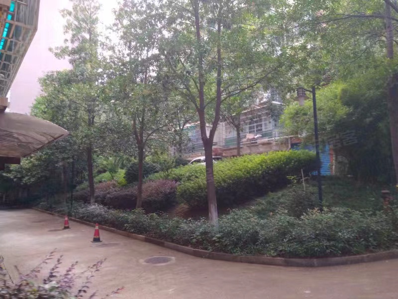 金南家园三期室内图2