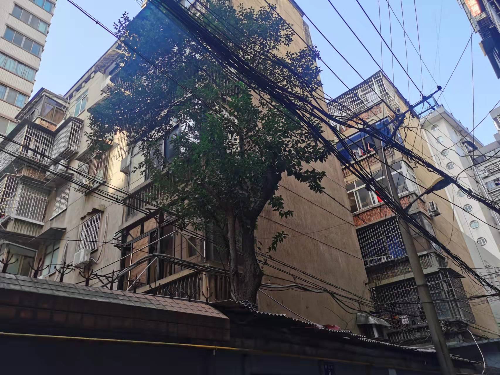 水利局单位房（新运街4号）室内图2