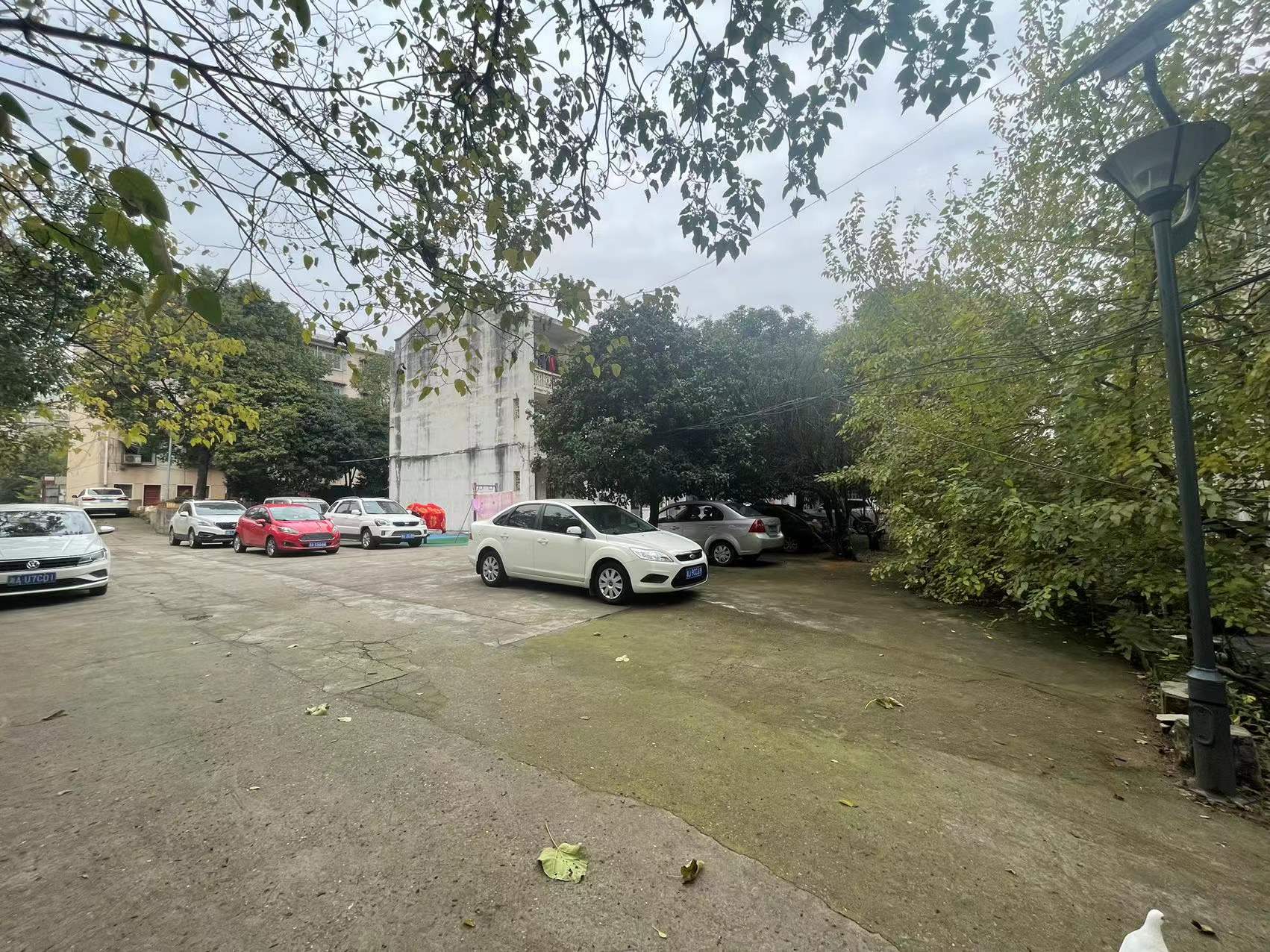 老三十五中学教职工宿舍(天心区长郡湘府中学) 老三十五中学教职工宿舍(天心区长郡湘府中学)室内图2