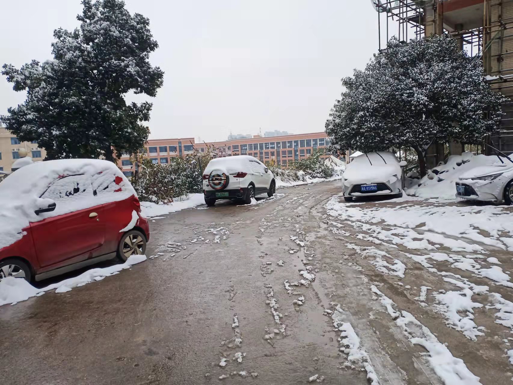 青山上坡小区 青山上坡小区室内图2