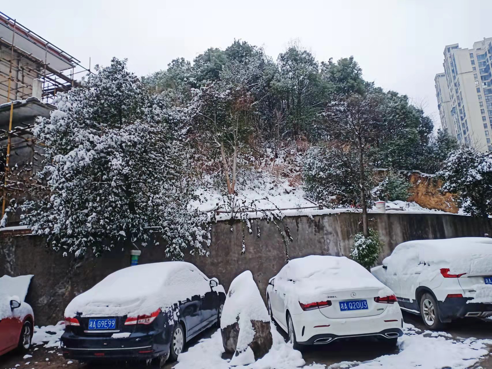 青山上坡小区 青山上坡小区室内图2