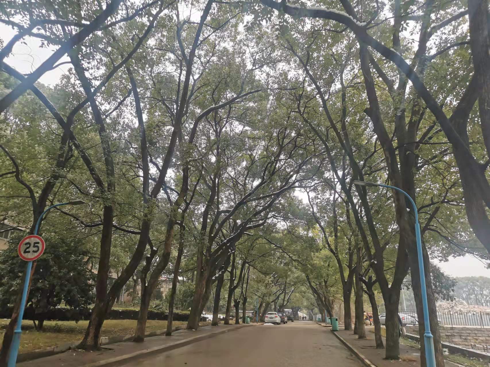 丹桂苑(国防科技大学单位房）室内图2