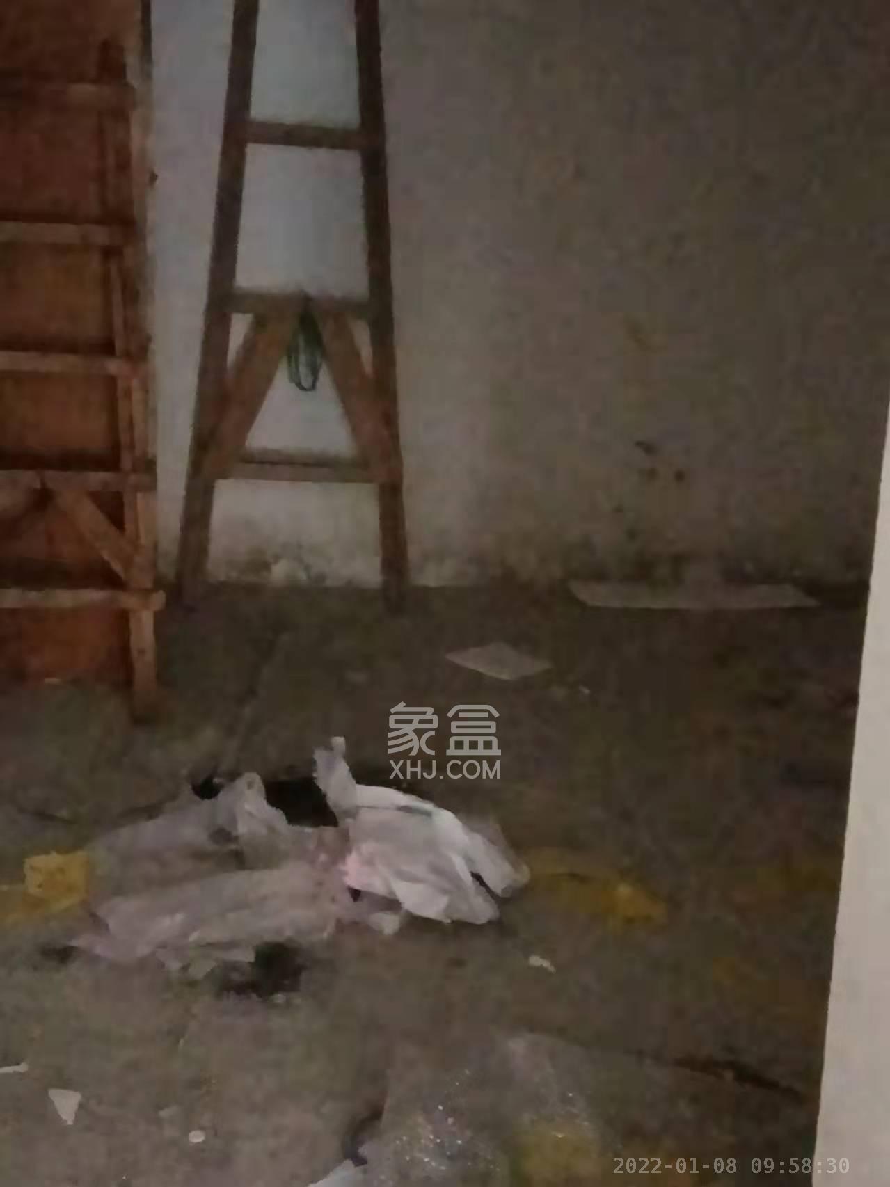 开源鑫阁  1室1厅1卫   1300.00元/月户型图
