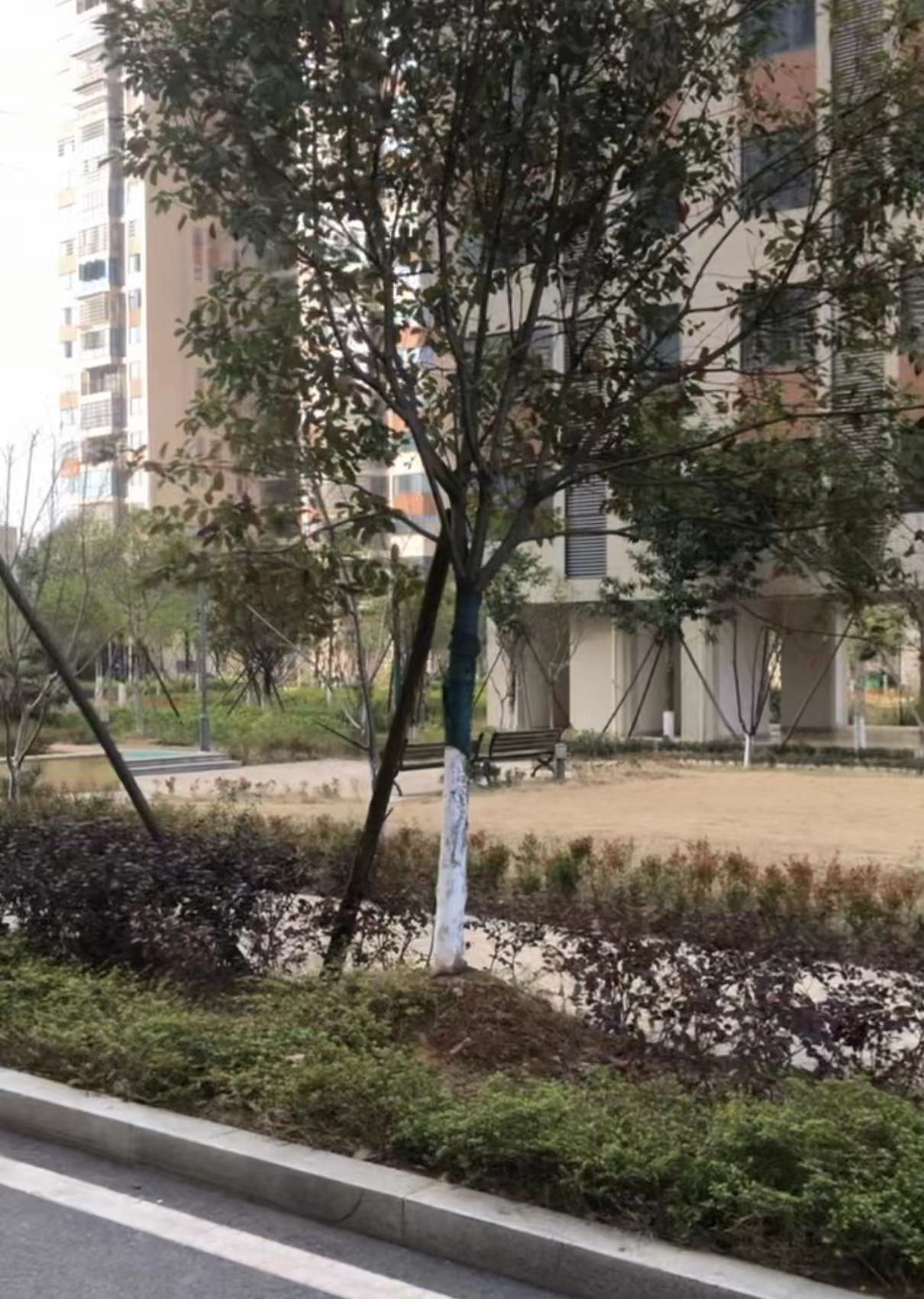 教建新都汇室内图2