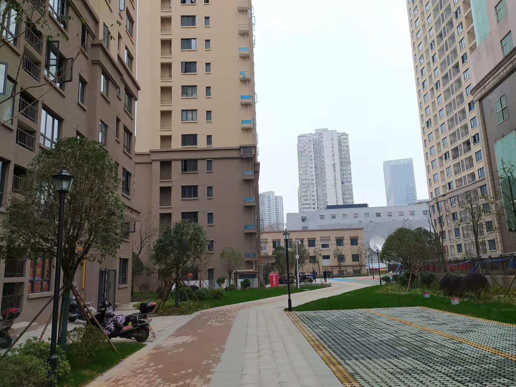 韭菜园嘉苑 韭菜园嘉苑室内图2