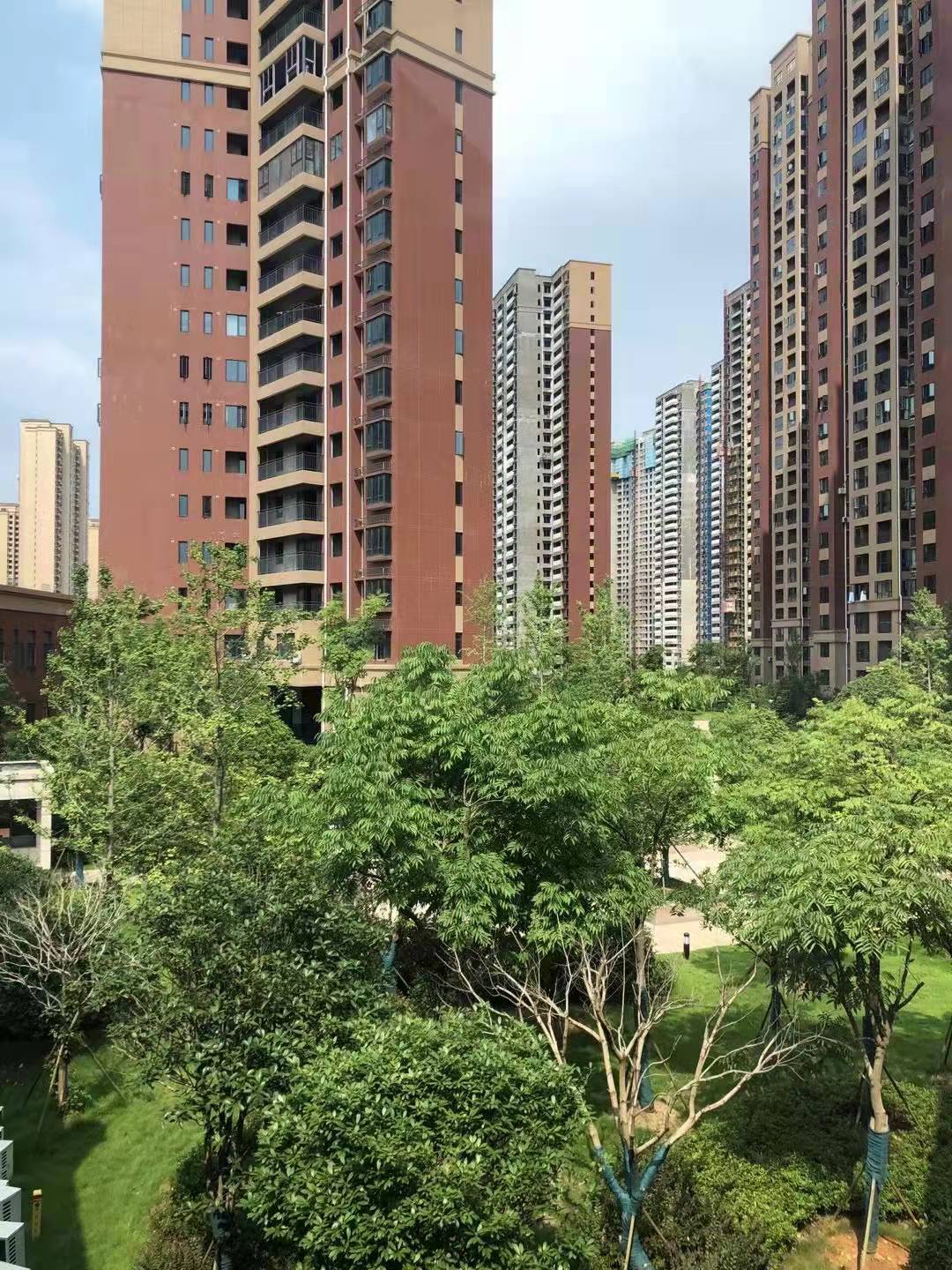 凯尔花缇紫郡 凯尔花缇紫郡室内图2