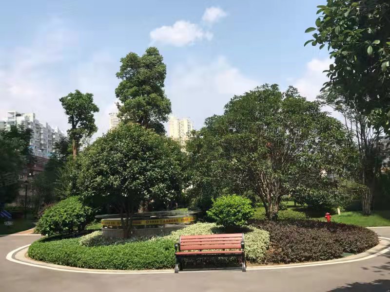 恒大御景半岛湘江苑（恒大御景半岛一期）  1室1厅1卫   1600.00元/月小区图