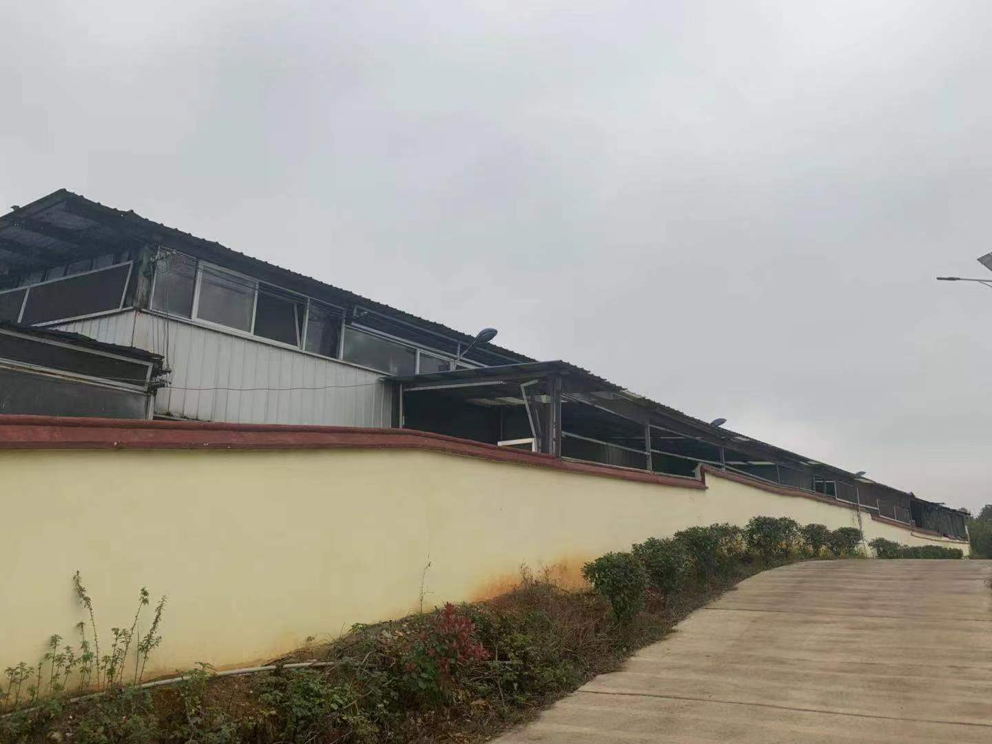 跳马镇团然村红旗组室内图2