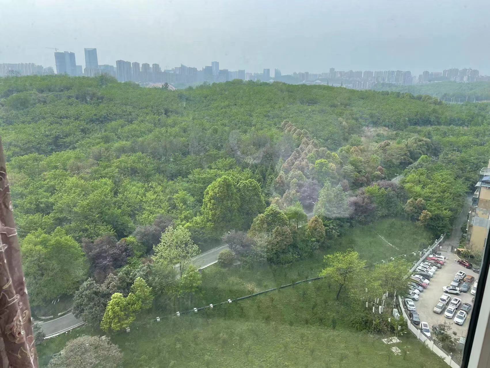 远大生态风景  3室2厅2卫   3300.00元/月室内图1
