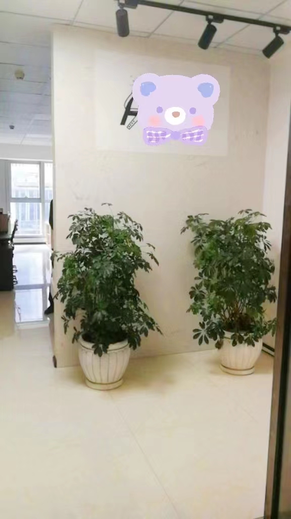 金融城一期  1室1厅1卫   6000.00元/月室内图