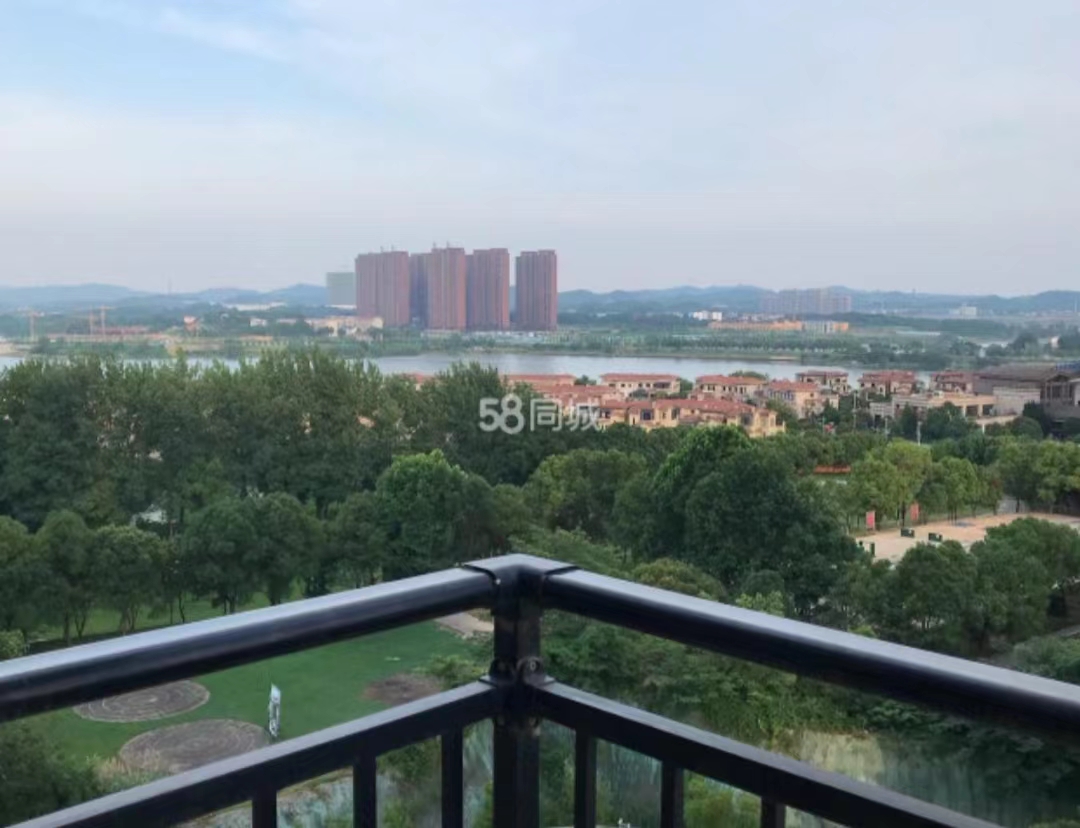 碧桂园（住宅）  1室1厅1卫   1800.00元/月室内图