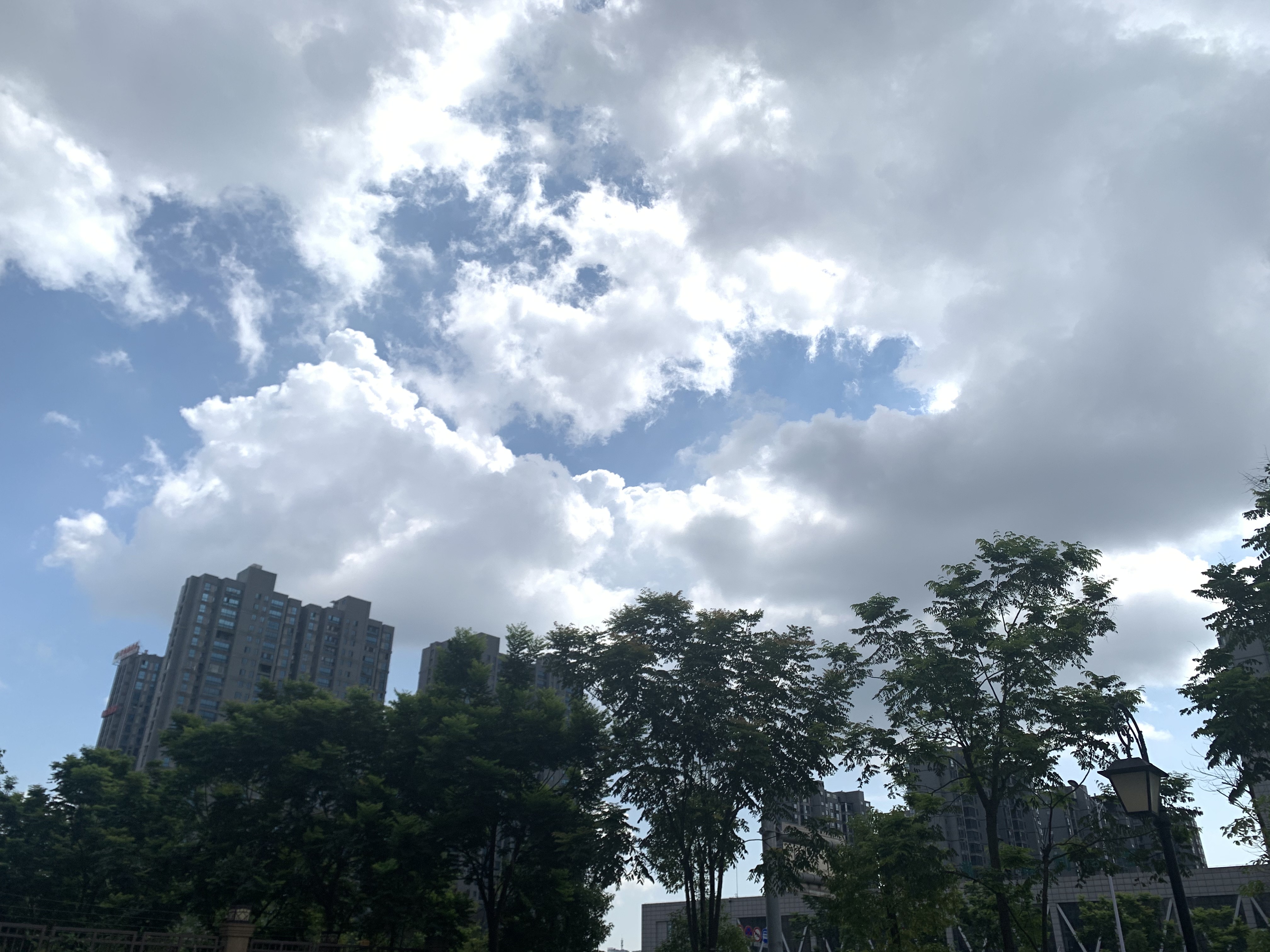 星河国际  2室2厅1卫   2000.00元/月户型图