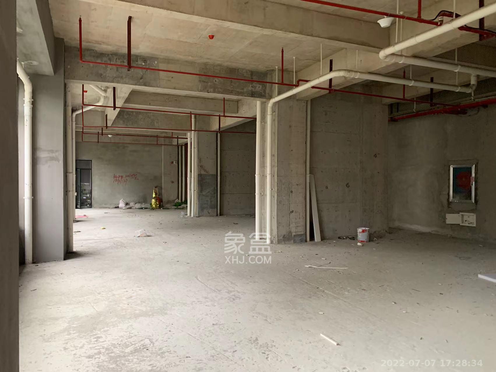 碧桂园城市之光  0室0厅0卫    33000.0元/月室内图