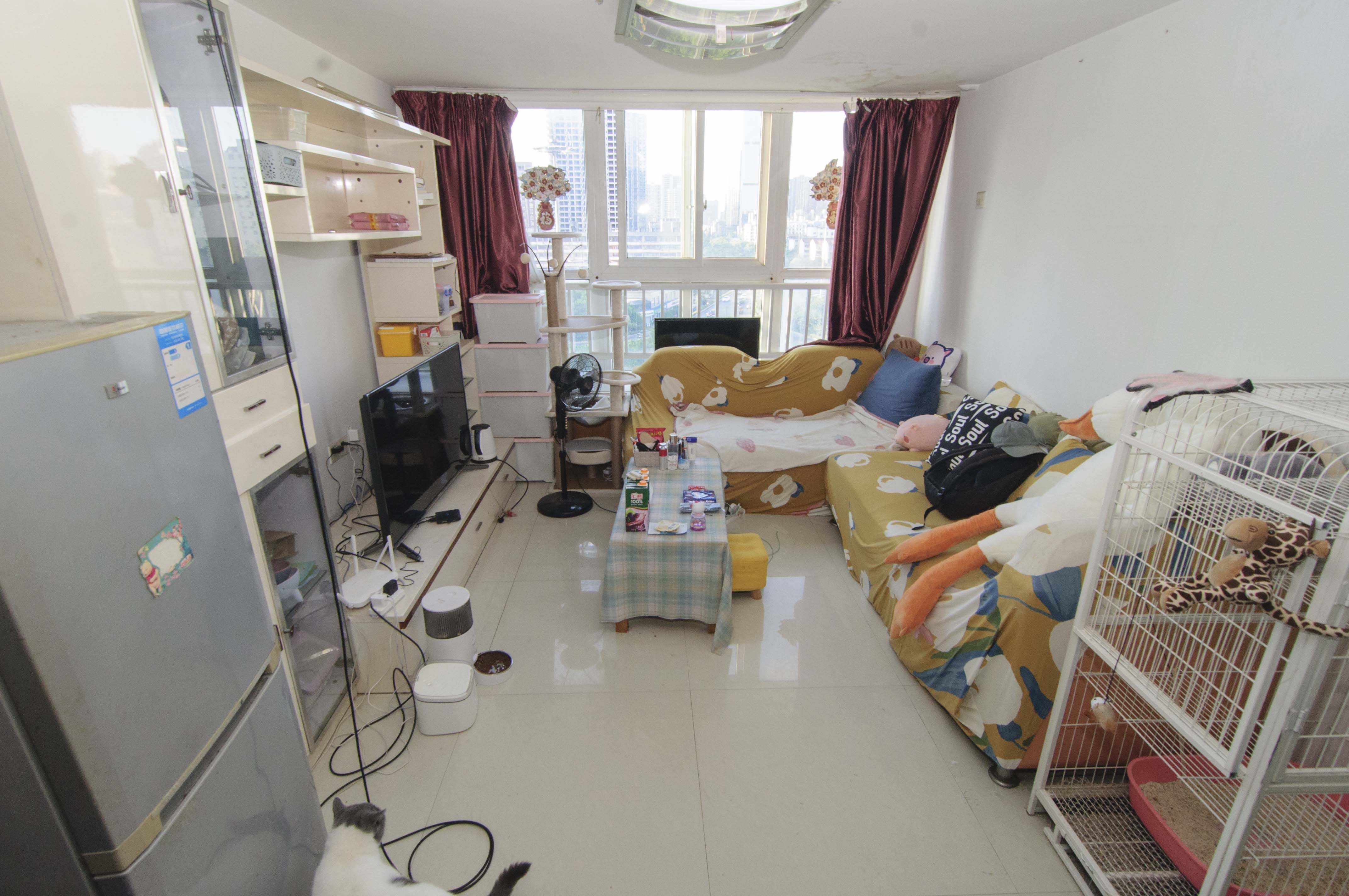 他城（天鸿时代公寓）  1室1厅1卫   36.00万客厅