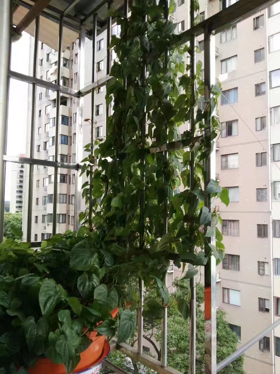 中华二村 2室2厅1卫 17.0万 中华二村 2室2厅1卫 17.0万室内图