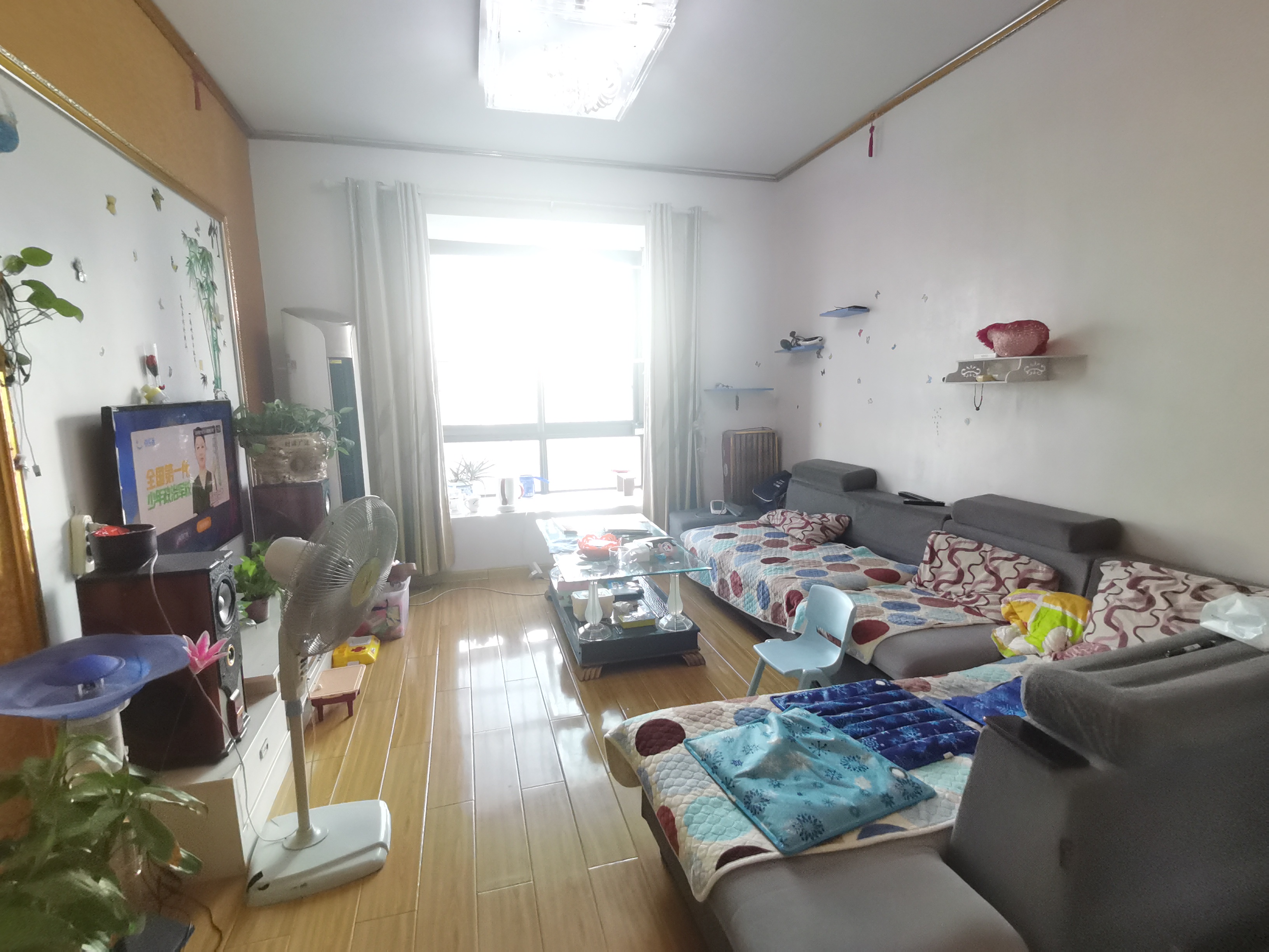 筛分小苑 2室1厅1卫 35.0万 筛分小苑 2室1厅1卫 35.0万室内图