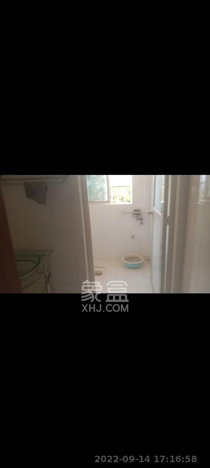 新星小区  3室2厅2卫    2000.0元/月室内图