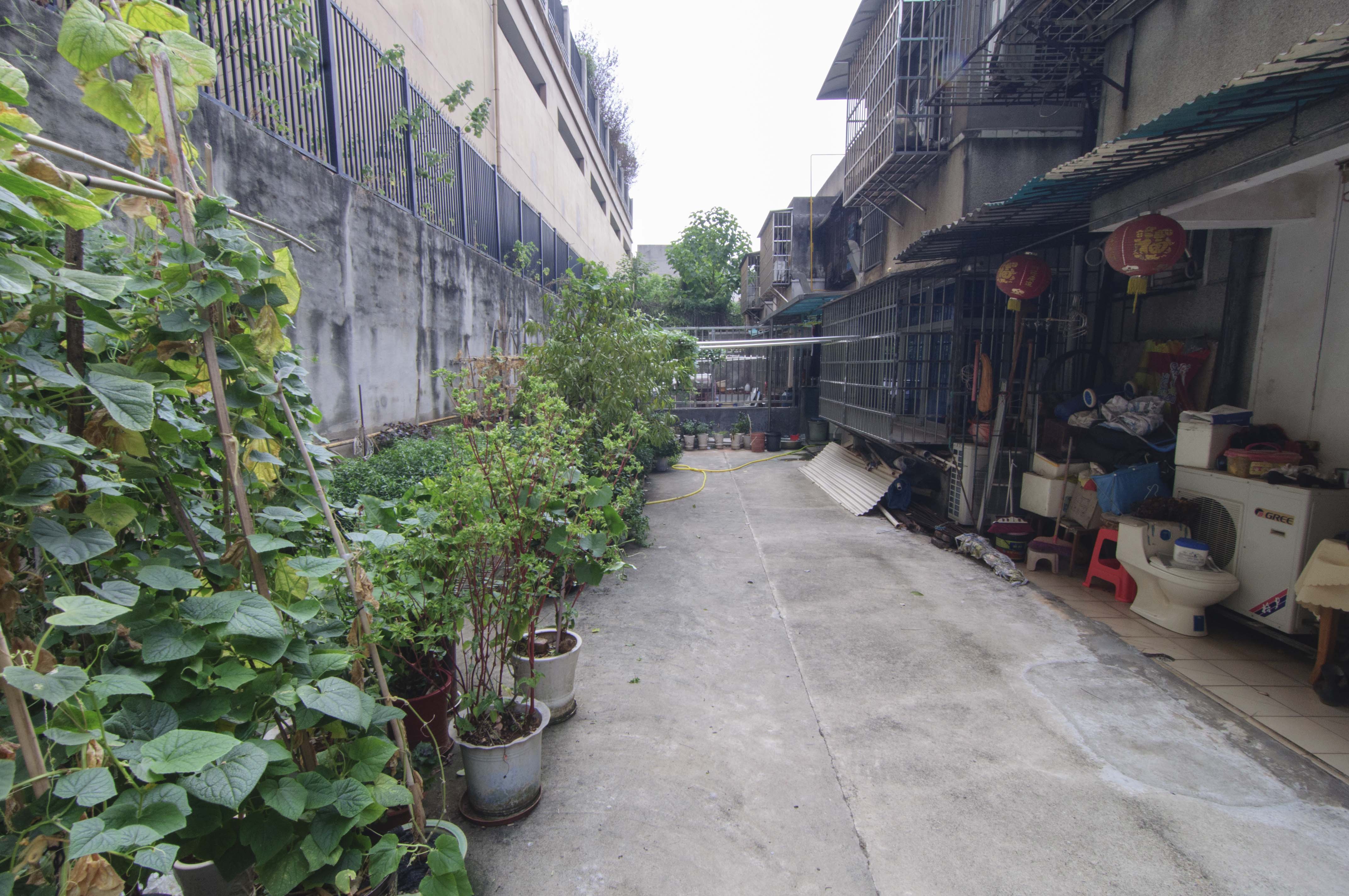 长坡社区  2室2厅1卫   55.00万阳台