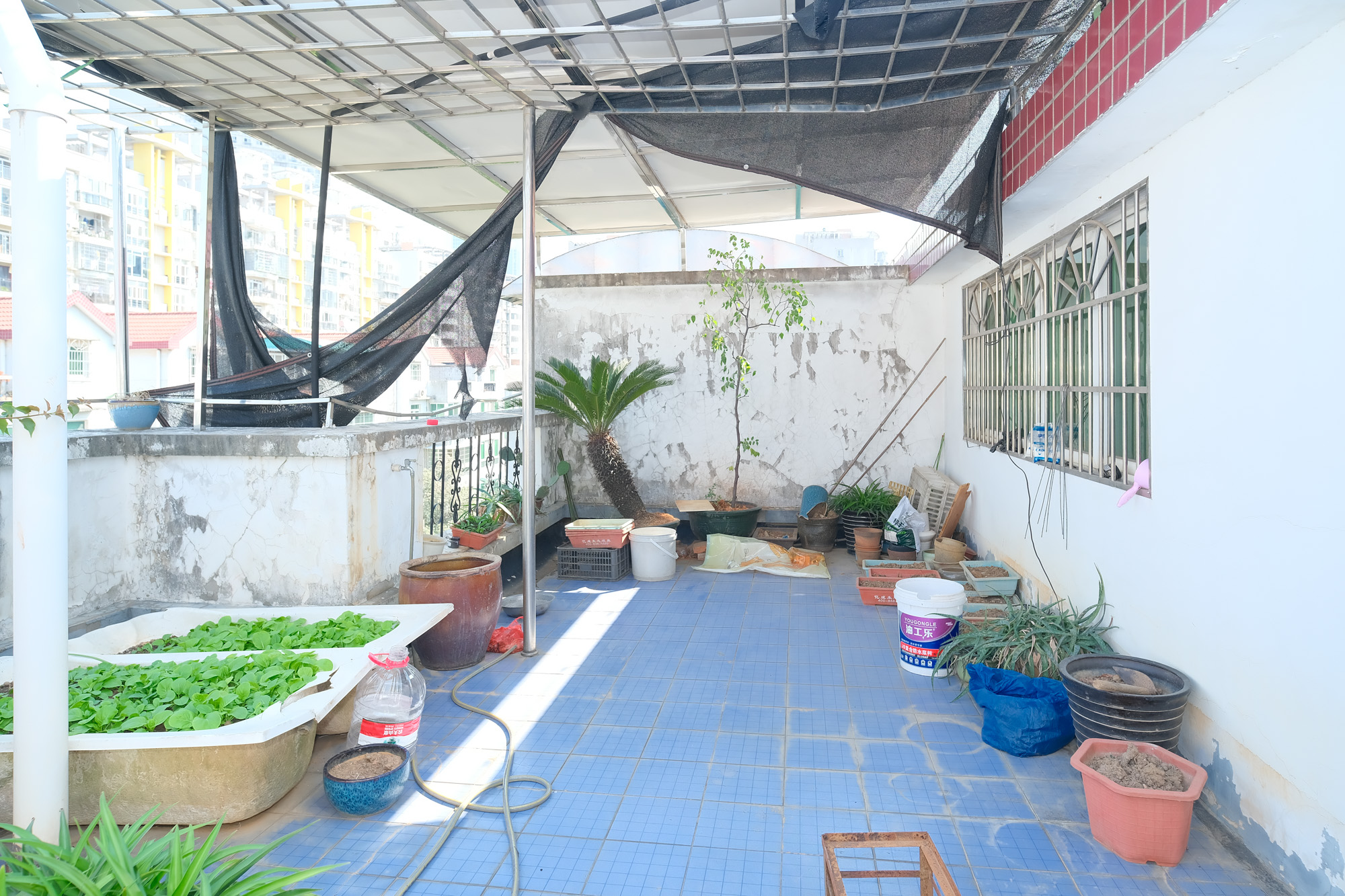 欣安小区  5室2厅3卫    99.8万其他