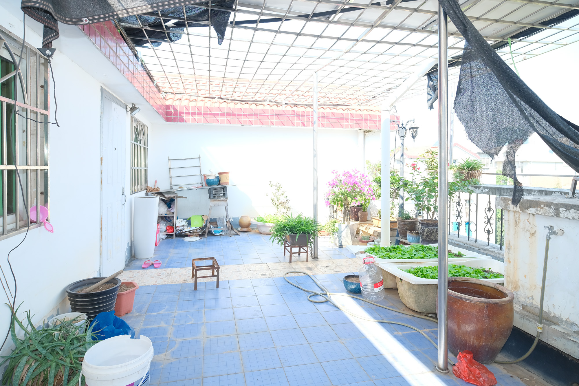 欣安小区  5室2厅3卫    99.8万其他