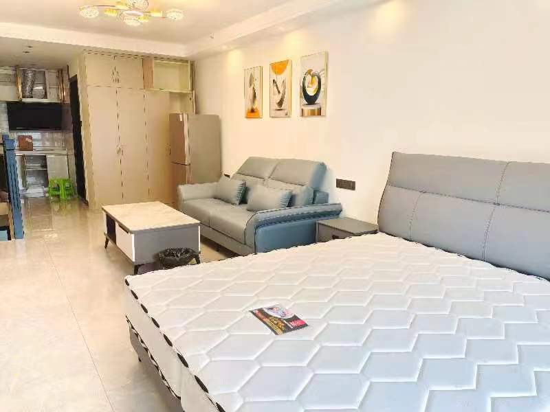 恒大滨河左岸  1室1厅1卫   1800.00元/月室内图