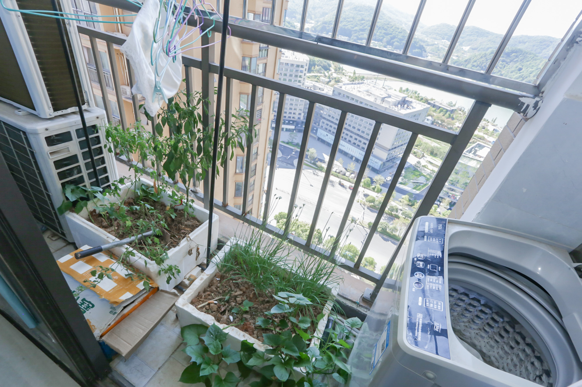 中一九骏（枫桥苑）  3室2厅1卫    95.0万阳台