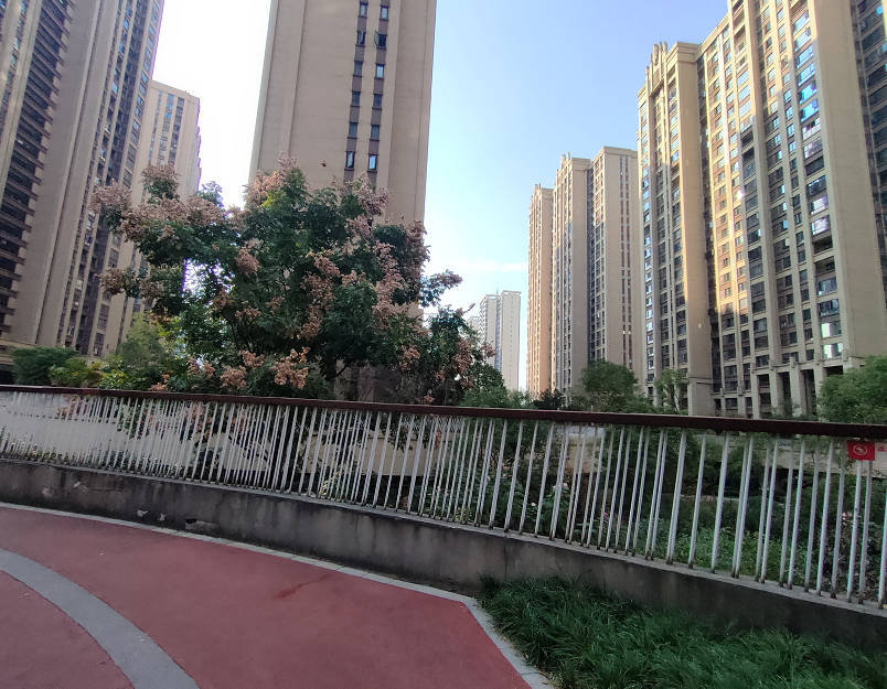 阳光城尚东湾青云苑  2室2厅1卫   1500.00元/月小区图