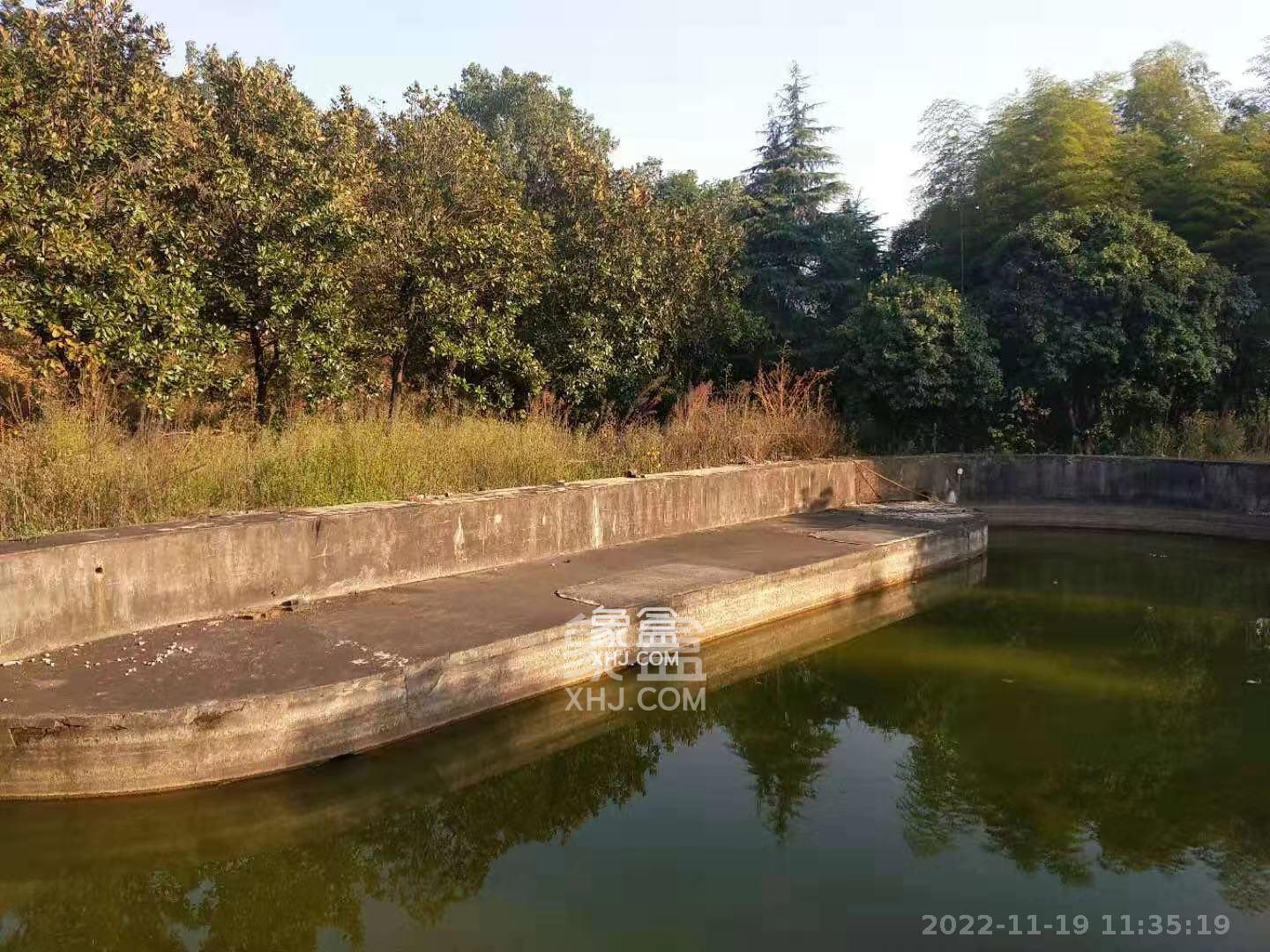 鹤岭镇云龙村  4室2厅1卫   8000.00元/月室内图