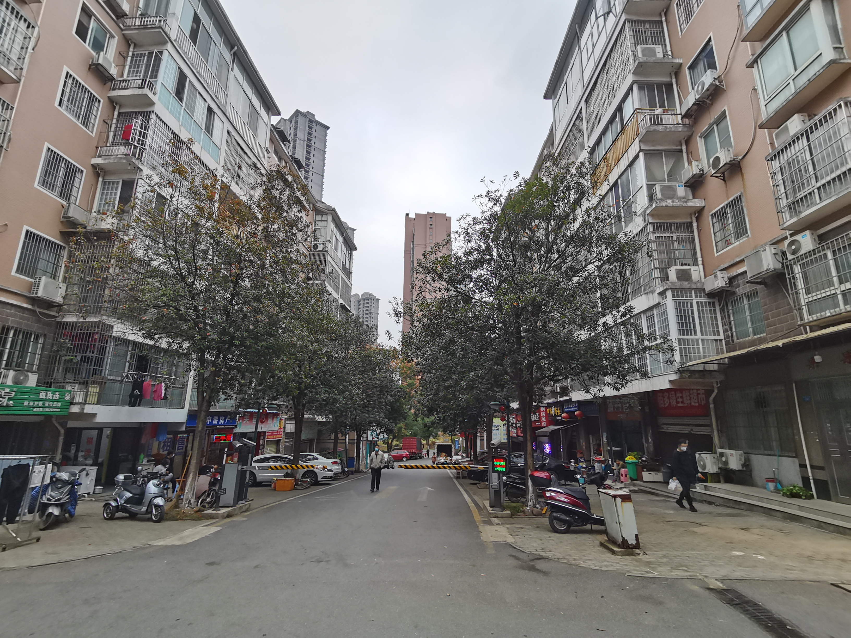 枫溪苑 1室1厅1卫 18.0万 枫溪苑 1室1厅1卫 18.0万室内图