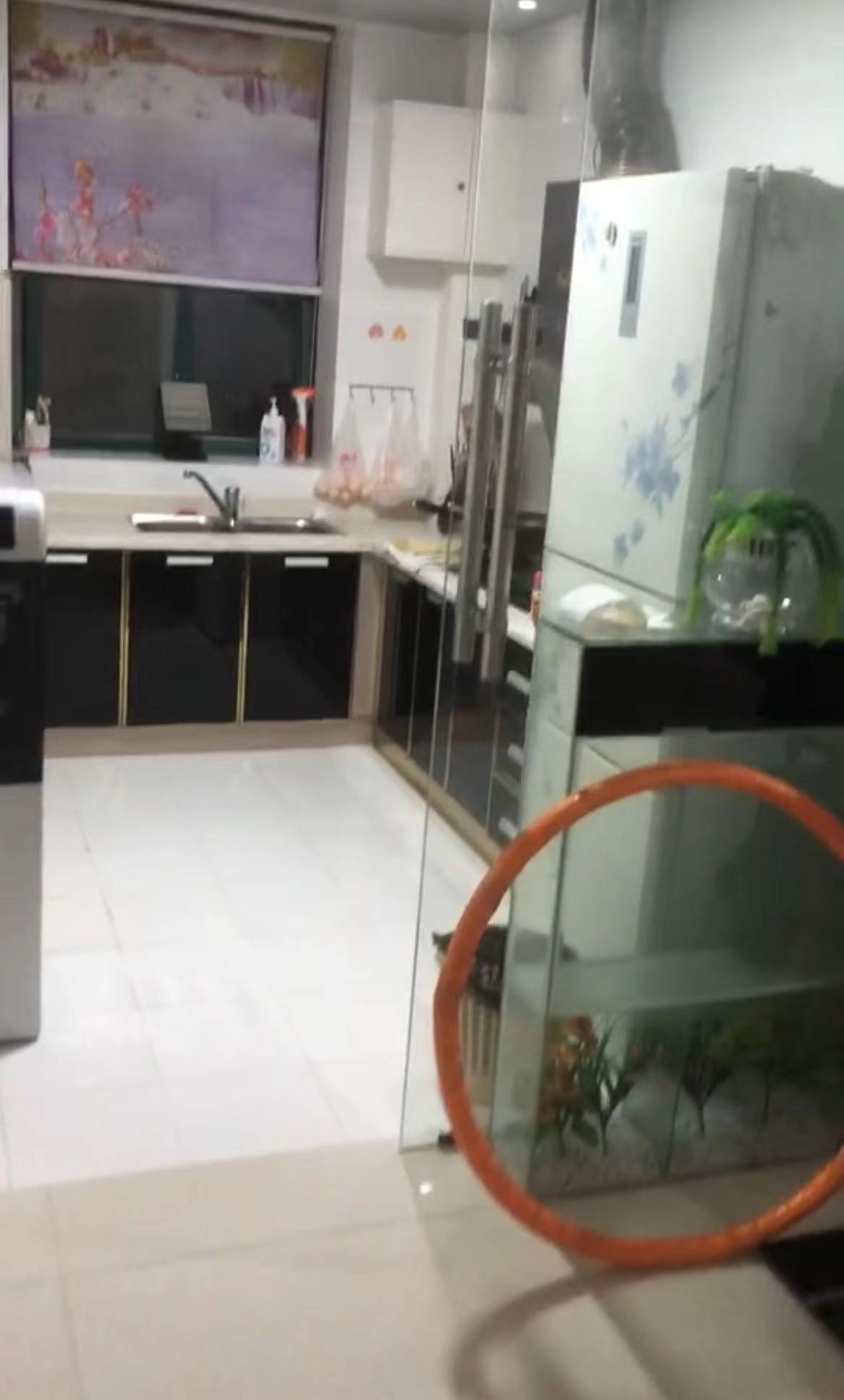 共和城  3室2厅1卫    68.0万室内图