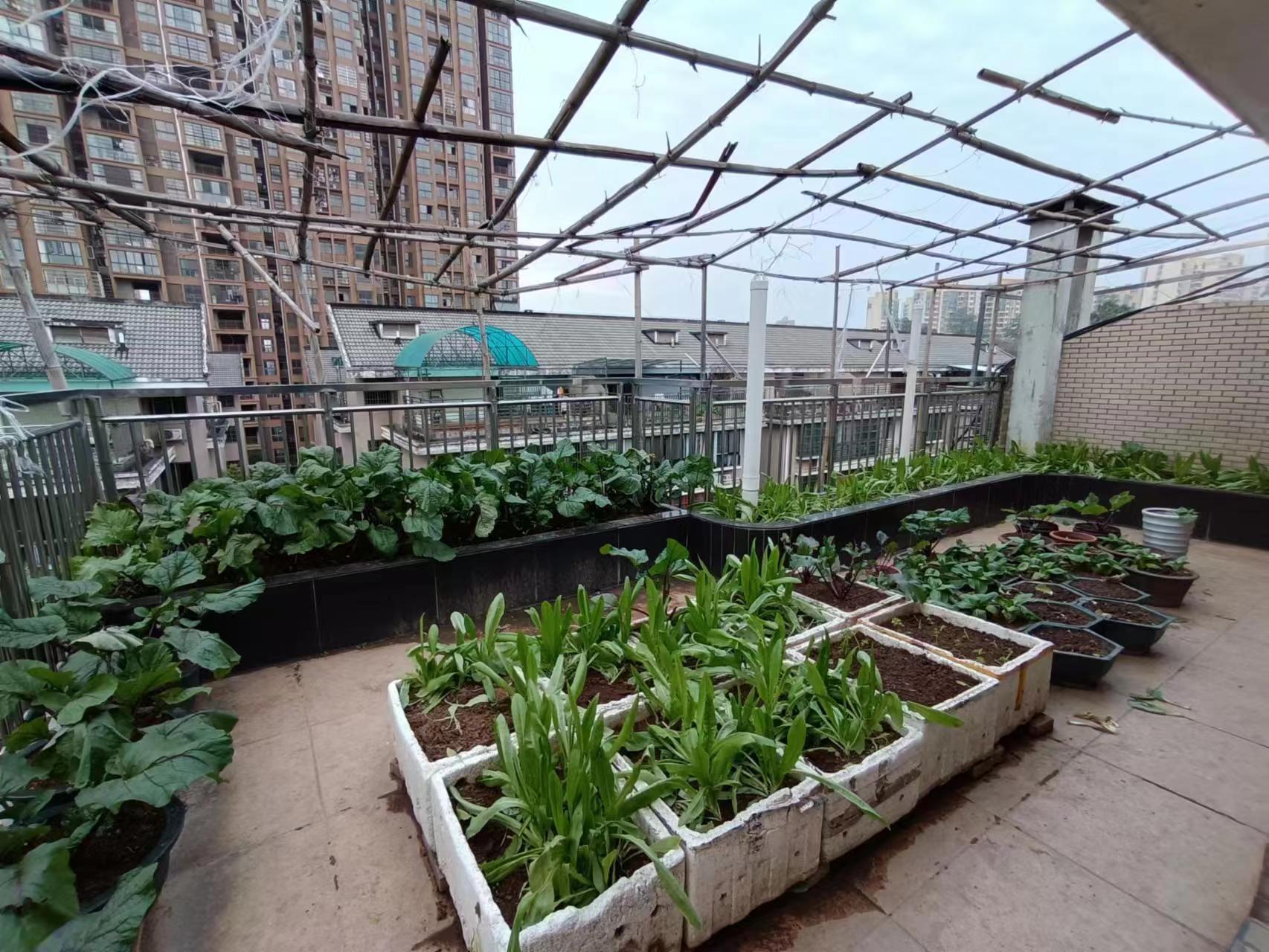 枫林绿洲 5室3厅3卫 68.8万 枫林绿洲 5室3厅3卫 68.8万室内图