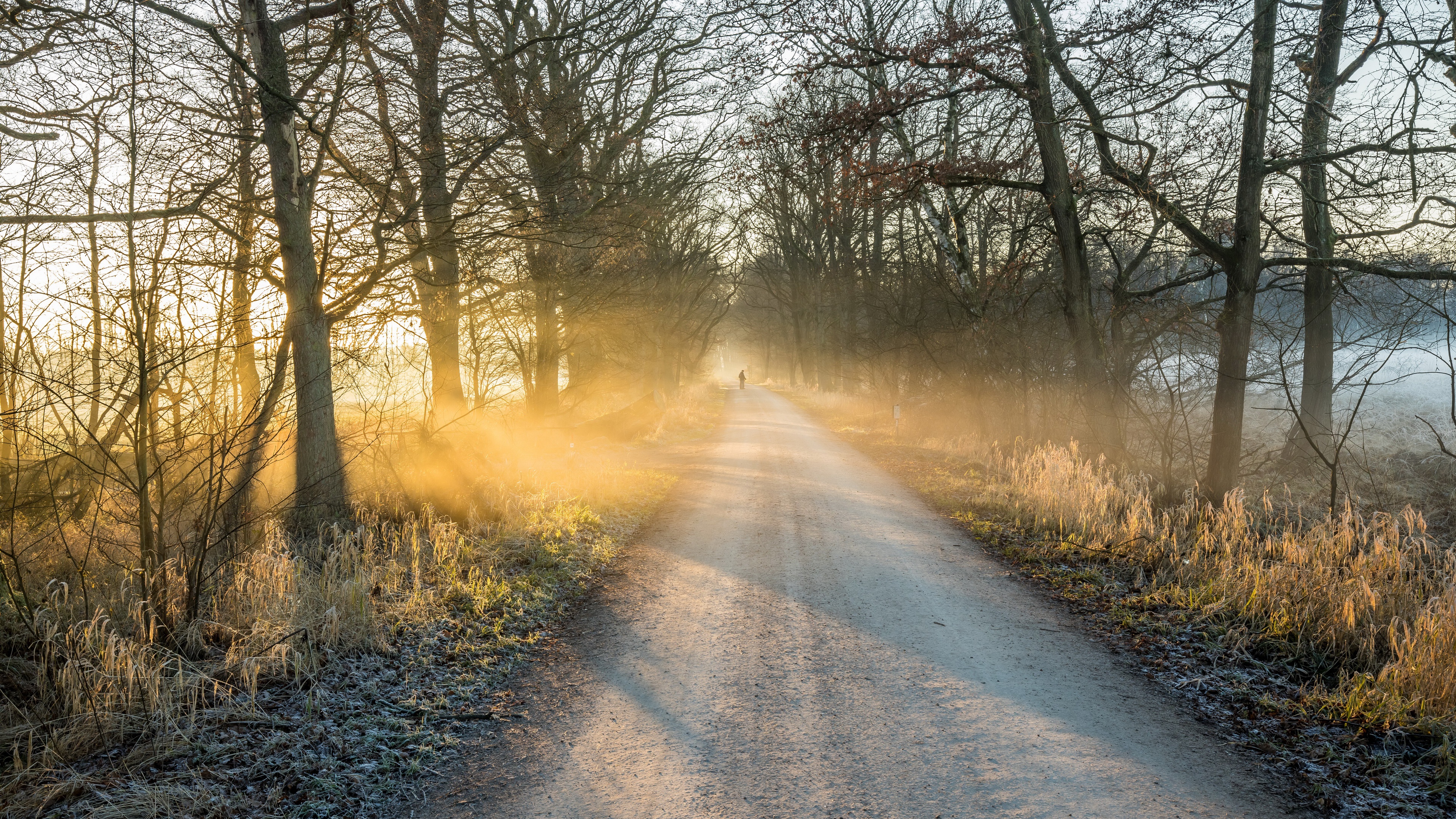 世茂A测试 世茂A测试室内图2