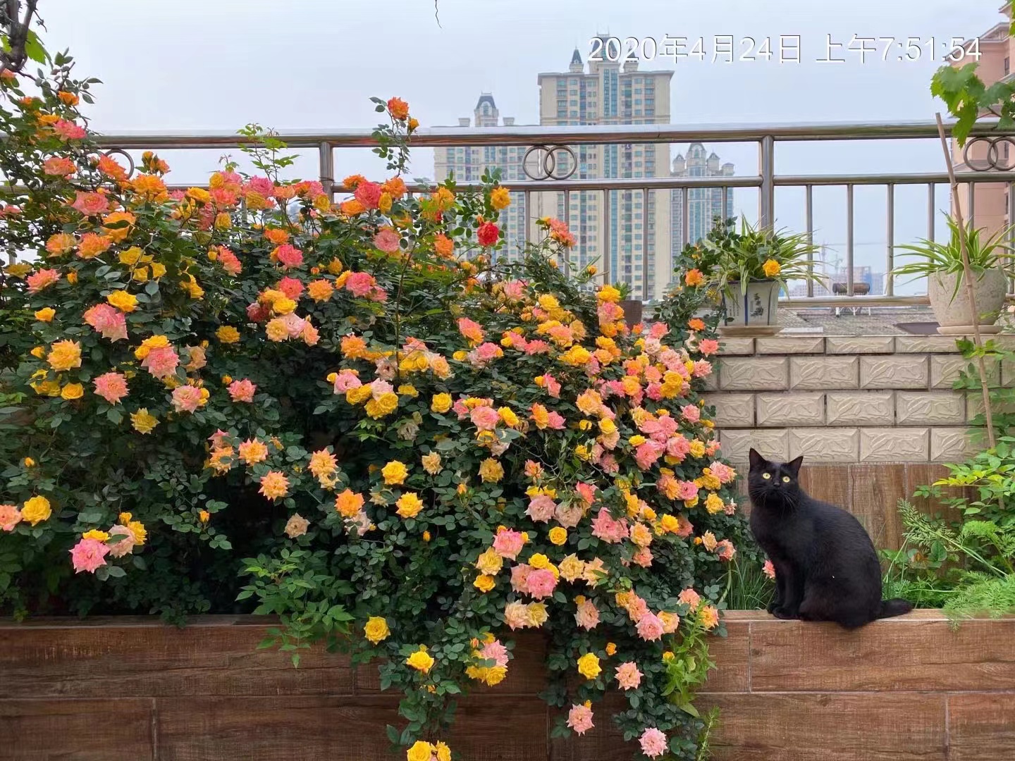 熹悦花都  4室2厅1卫   80.00万室内图